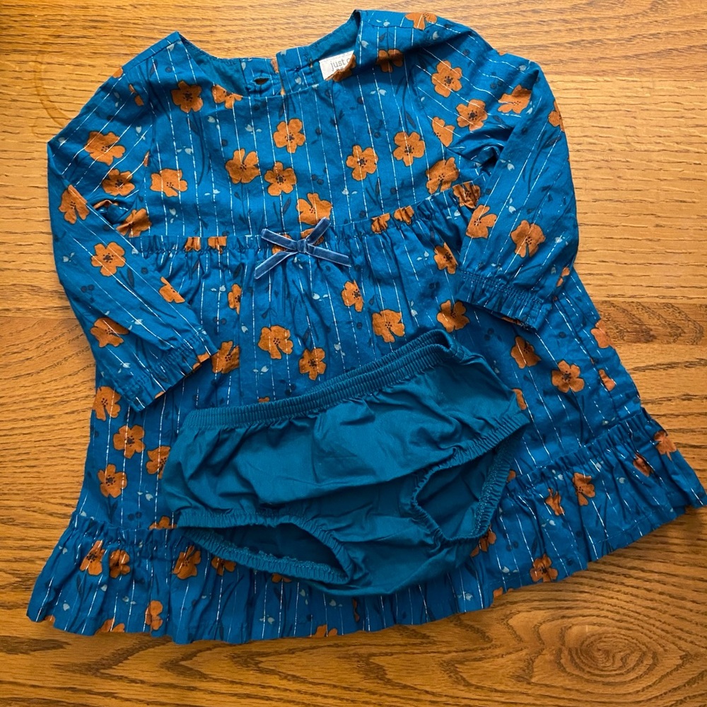 Carter’s special occasions 9m dress